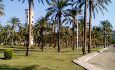 Oaza Siwa i Aleksandria