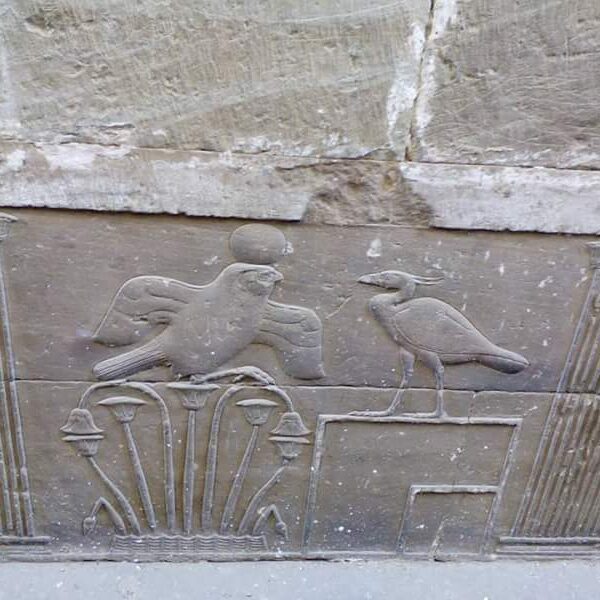 Dendera-i-Abydos-22