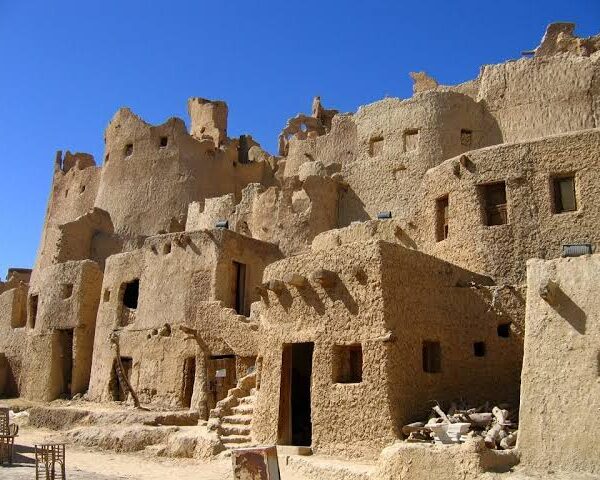 Oaza Siwa i Aleksandria