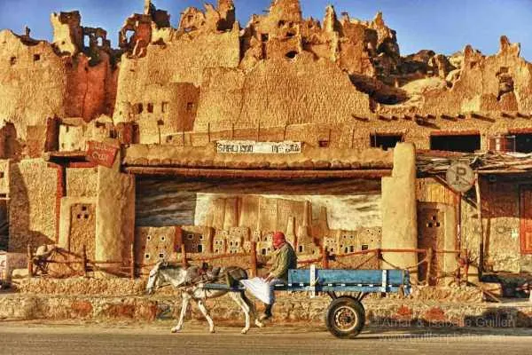 Oaza Siwa