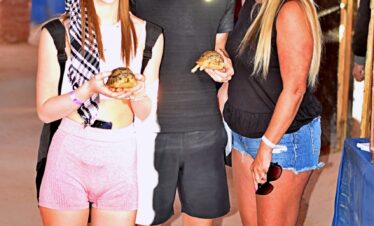 Popoludniowe-quad-safari-10