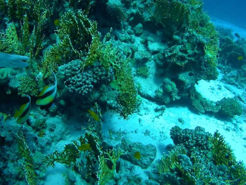 Sharm-El-Naga-15