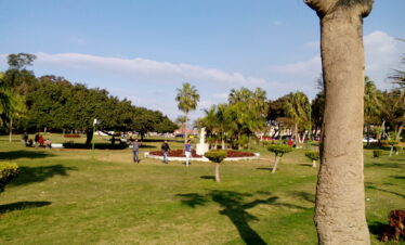 Rejs + Kair + Aleksandria