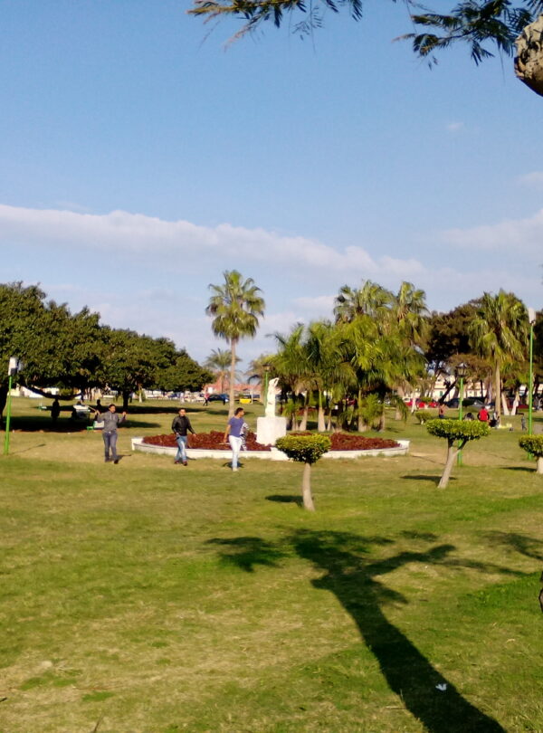 Rejs + Kair + Aleksandria