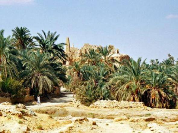 Oaza Siwa
