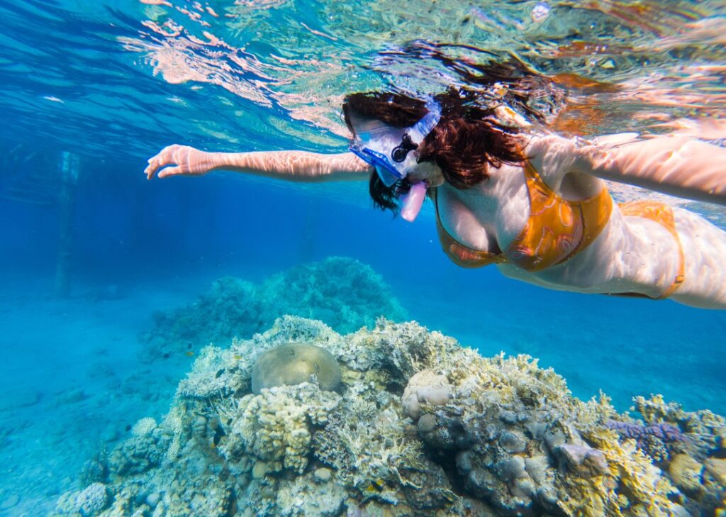 woman-snorkeling-above-coral-reef-underwater-view-2026-01-09-00-41-57-utc (Medium)