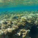Wycieczki Hurghada